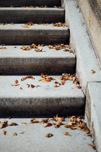 fall leaves on concrete steps outdoors 