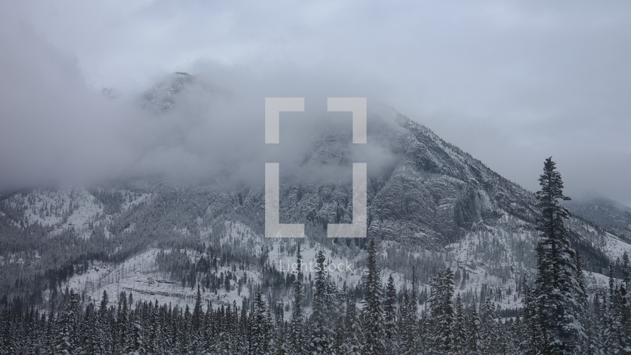 fog, clouds, snow, mountain, outdoors, trees, winter 