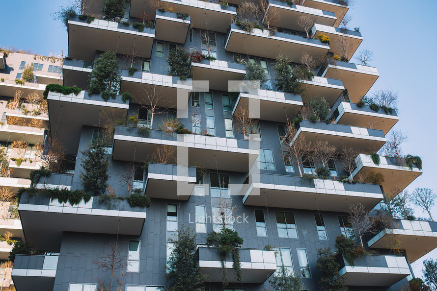 Trees on a building balconies