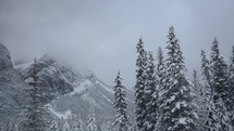 snow covered mountain peak and tall trees 