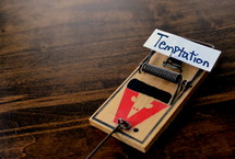 word temptation on a mousetrap 