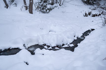 Snowy stream in the forest