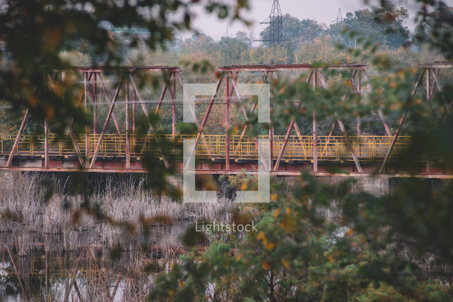Railway bridge in the forest