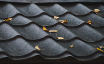Yellow leaves on the black roof