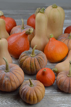 different kinds of pumpkins and gourds on raw gray wood background