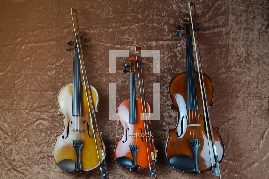 violins 