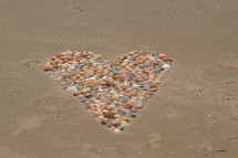 many seashells shaping a heart in the sand