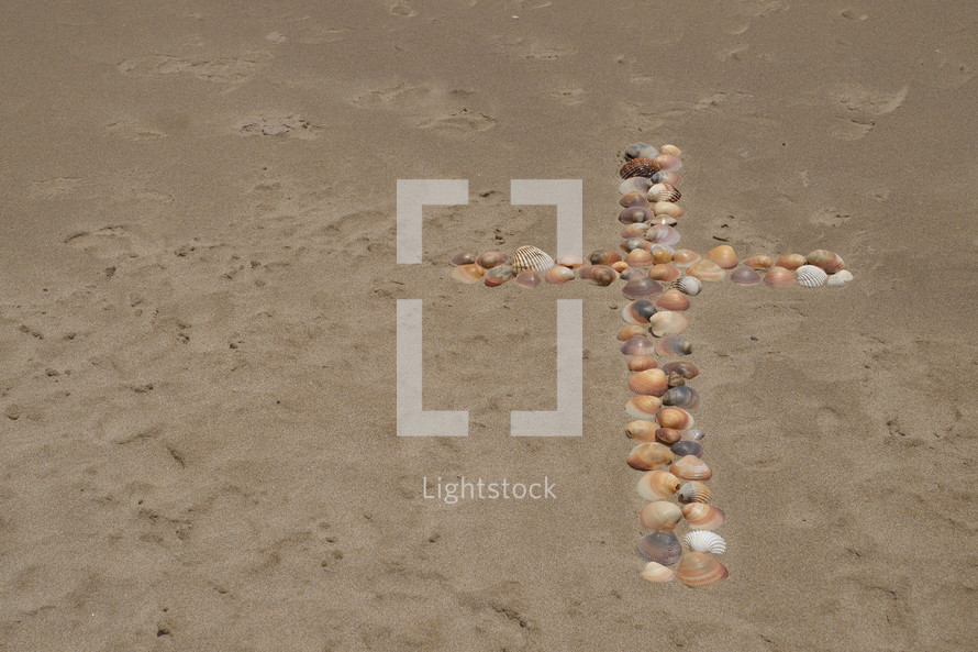 many seashells shaping a cross in the sand