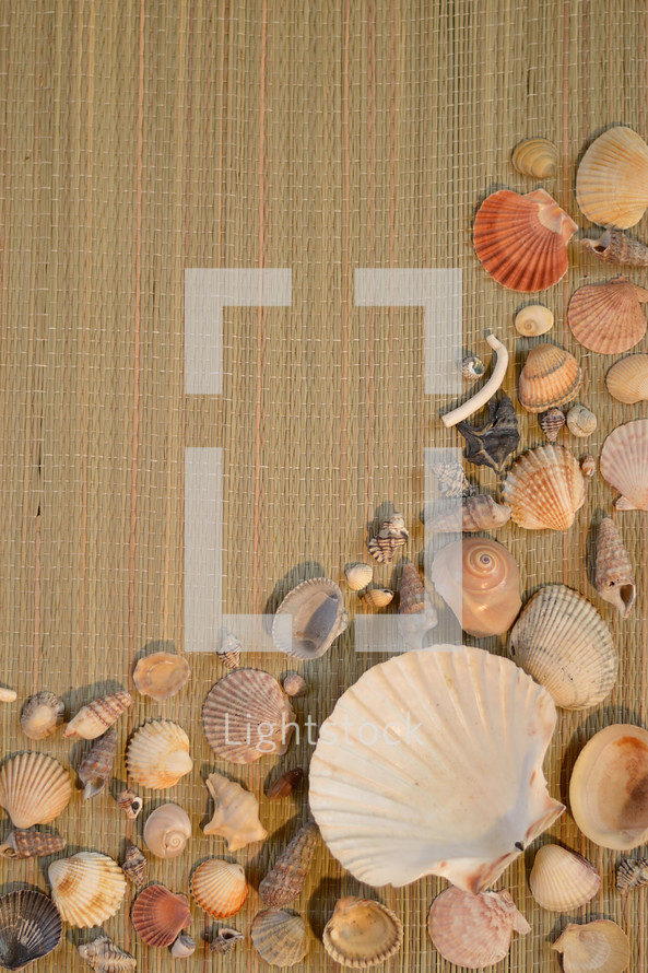 variety of seashells on straw mat