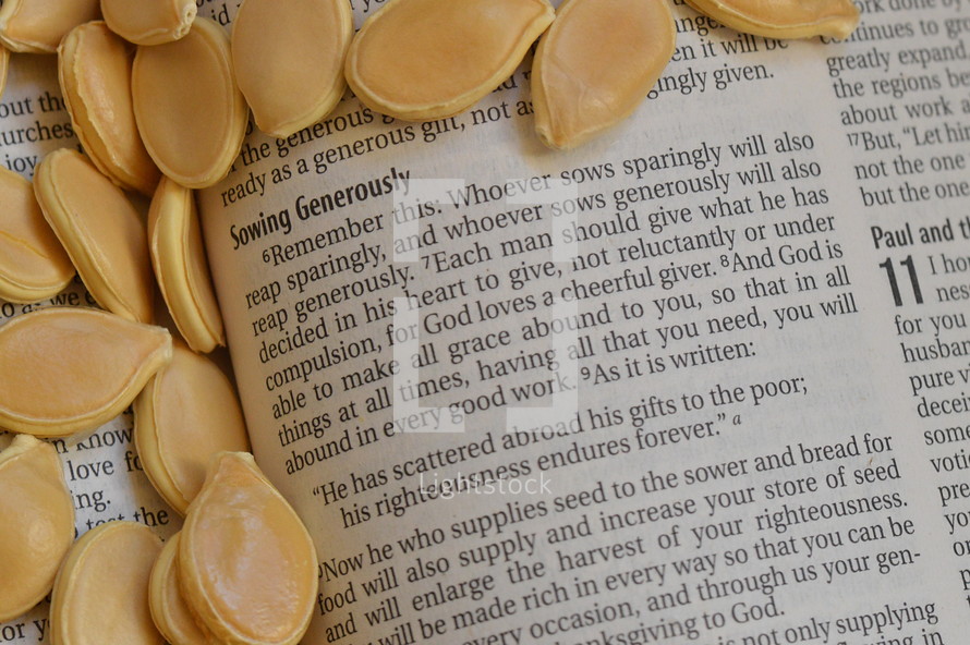 pumpkin seeds on the pages of a Bible 