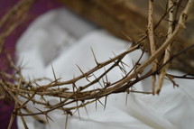 crown of thorns up close