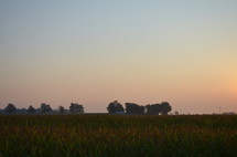 farmland at sunset 