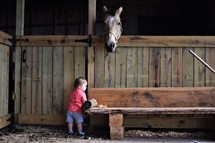 a little boy in a stable visiting with horses 