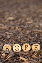The word HOPE burned into wood pieces. 

