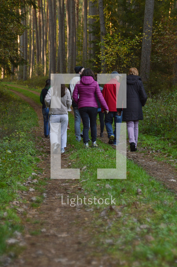 friends walking through a forest 