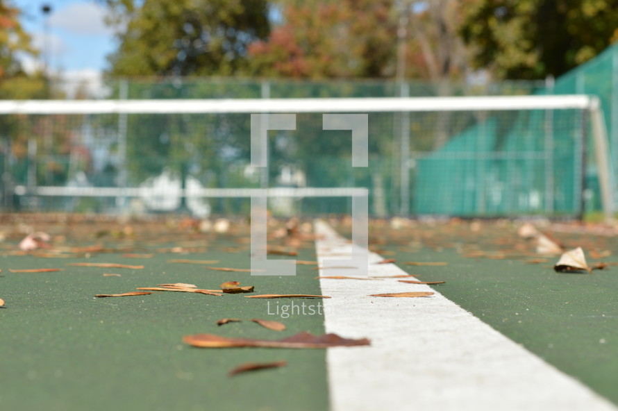 leaves on a tennis court 