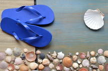 variety of seashells with sandals on cyan wooden plank