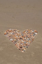 many seashells shaping a heart in the sand