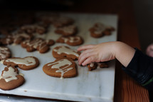 a child icing gingerbread cookies 