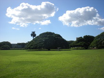 A green lawn with huge rounded trees.