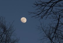 moon in a winter sky 
