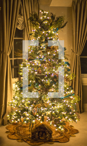 Nativity scene under a christmas tree — Photo — Lightstock