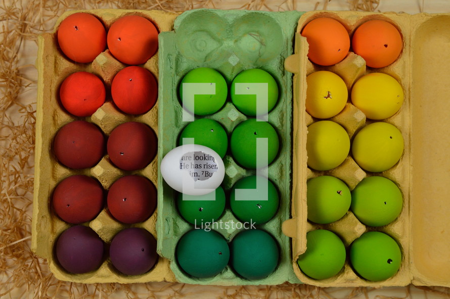 dyed easter eggs in a carton 