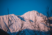 Tree silhouettes and snowy mountains at sunset