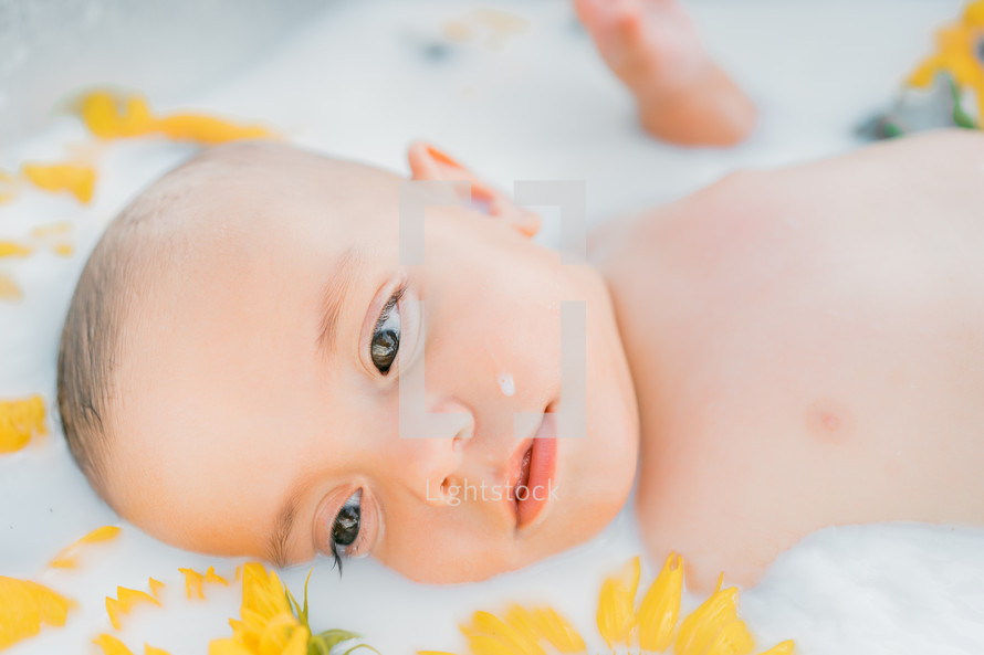 Cute little baby boy portrait in milk bath with sunflowers. Healthy lifestyle. child in summer garden, nature concept