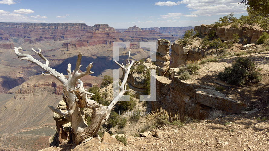 Grand Canyon wide vista.