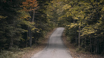 a rural road through a forest 