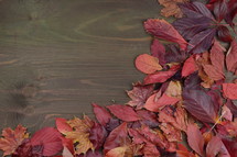 fall leaves border on brown wood background