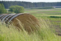 hay bale in a field 