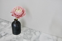 pink peony in a vase 