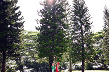kids looking up at a giant pine tree