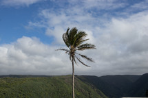 Big Island Hawaii landscape 