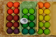 dyed easter eggs in a carton 