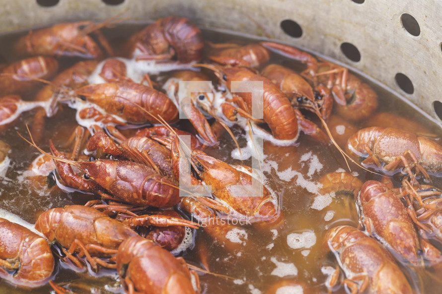 Spicy Boiled Crawfish in a Pot of Hot Water
