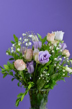 purple rose bouquet on a purple background 