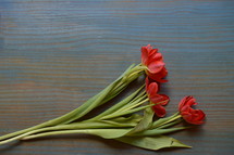 red tulips on a cyan wooden table