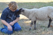 boy and sheep in a pasture 