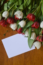 blank white card with copy space for your own text with bouquet of red and white tulips