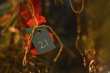 ornament hanging on a Christmas tree with the number 21