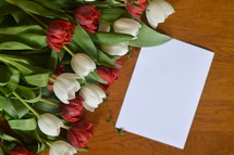 bouquet of tulips with blank white card with copy space for own text