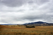 rural landscape 