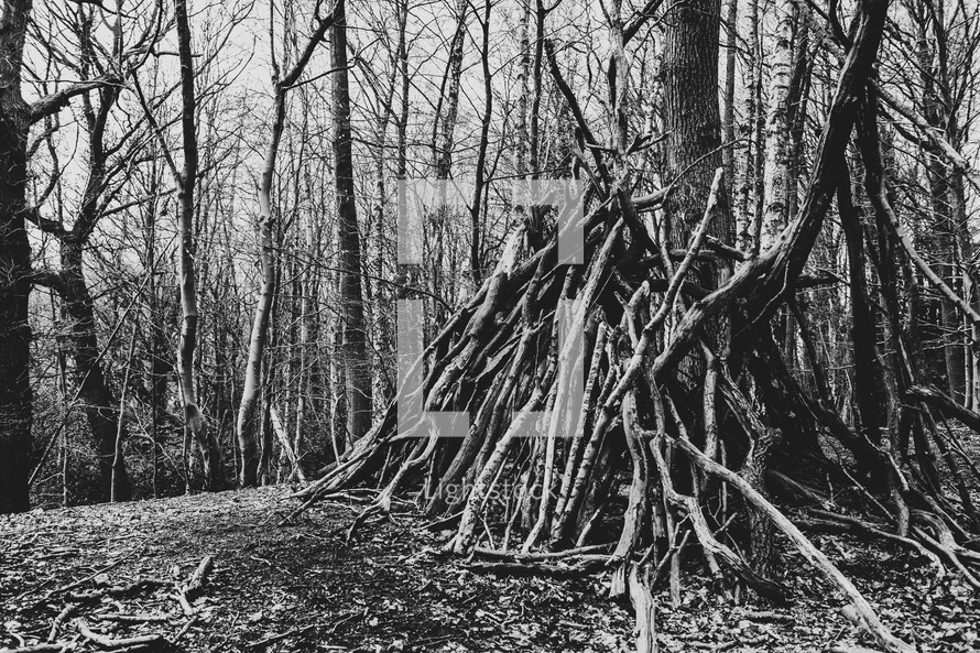 sticks made into a fort in a forest 