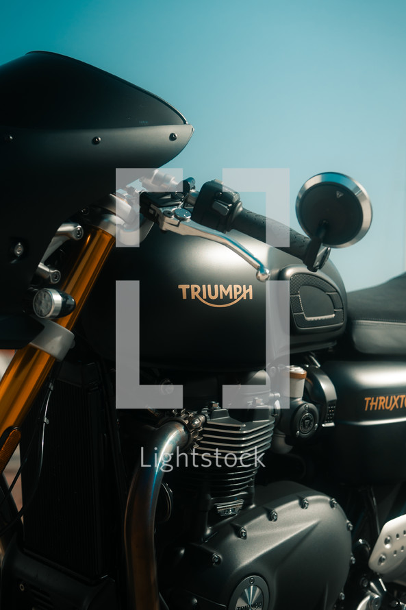 Triumph Thruxton motorcycle fuel tank, cafe racer, Triumph motorbike, classic bike, new custom motorcycle