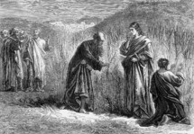 The Disciples picking corn