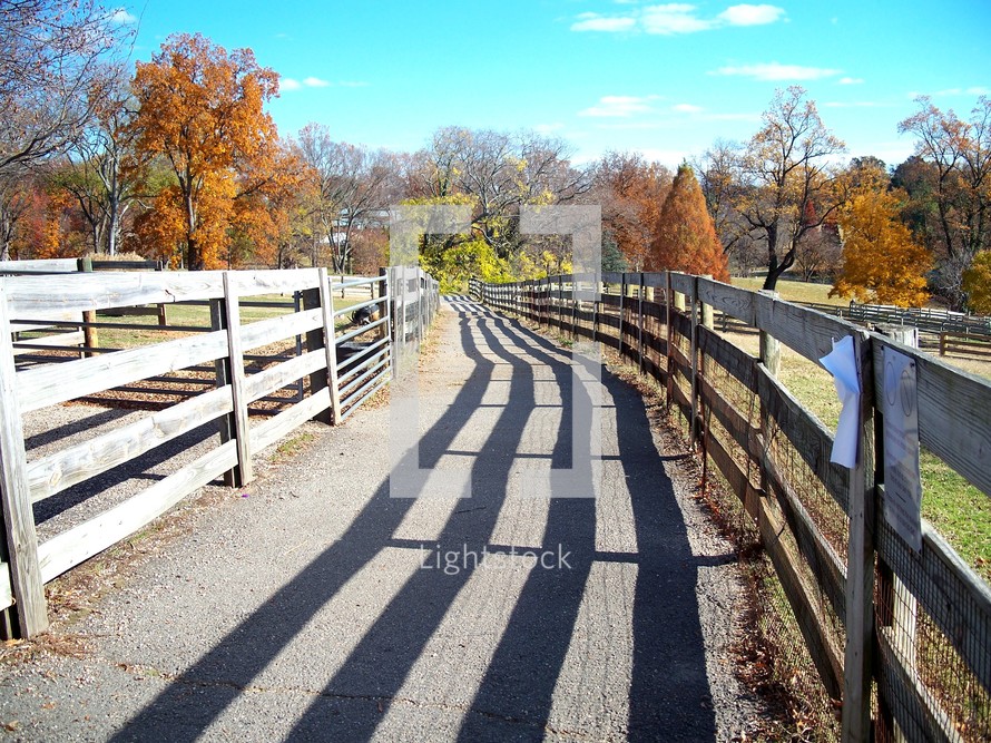 Fence-lined path with shadow and fall foliage.