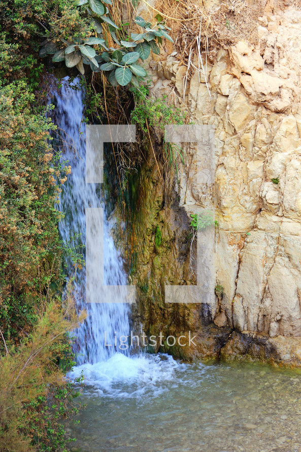 Springs of En Gedi - Israel